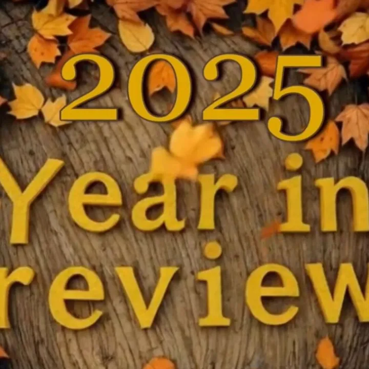 2025 review