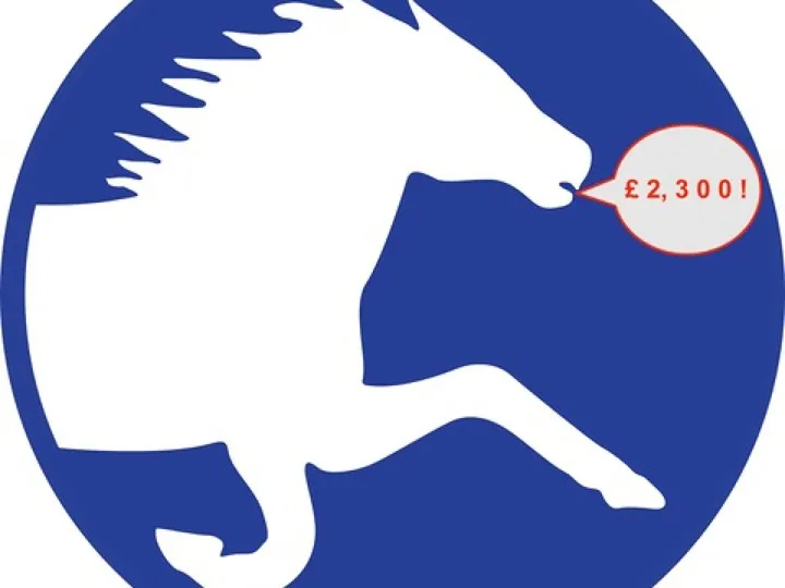 Horse Icon 2