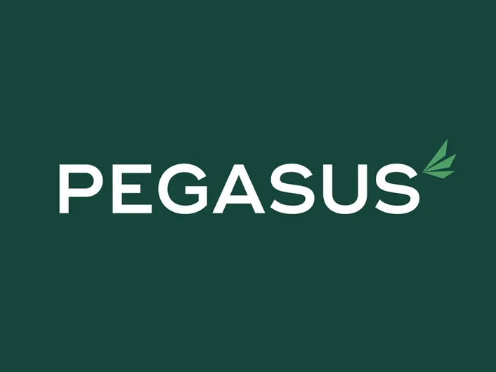 Pegasus Finance