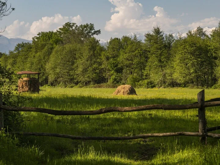 Green farmland behind the wooden fence