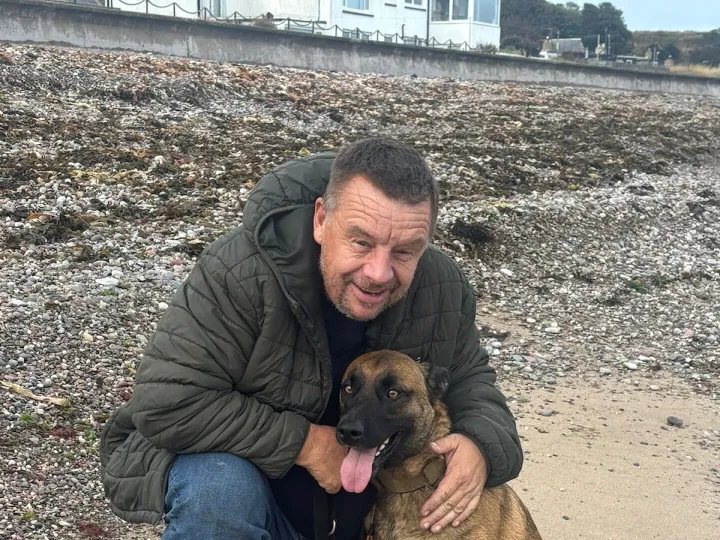 German Shepherd With Handler Outdoors