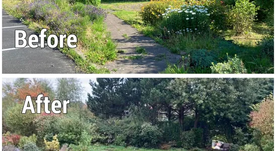 Before and After  Peace Garden