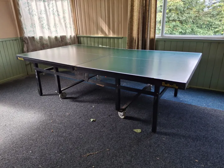 Table tennis table