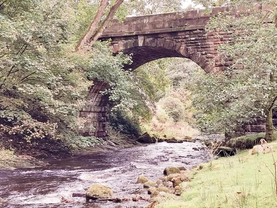 The stone bridge over the River Dane
