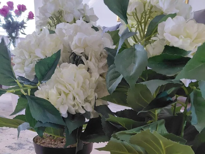 Items for sale
– Hydranger artificial plants £10