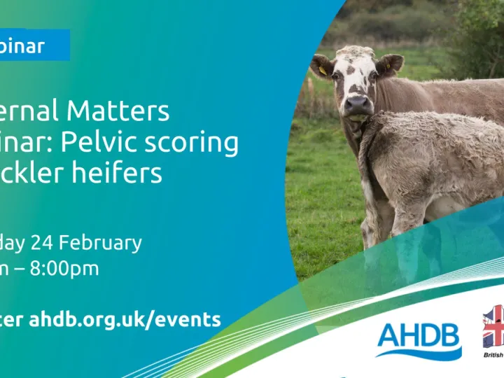 AHDB Webinar 24th Feb 7-8pm