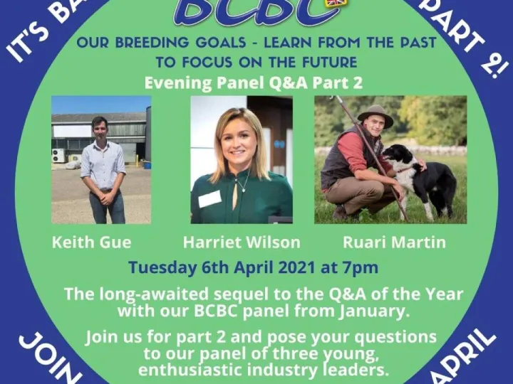 Live Q&A evening session returns for part 2