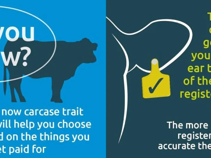 #shoutaboutthesire campaign was launched by AHDB at BCBC in 2019