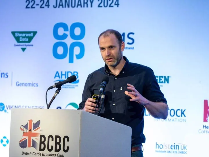 Productive day efficiency: An effective metric for the UK cattle herd