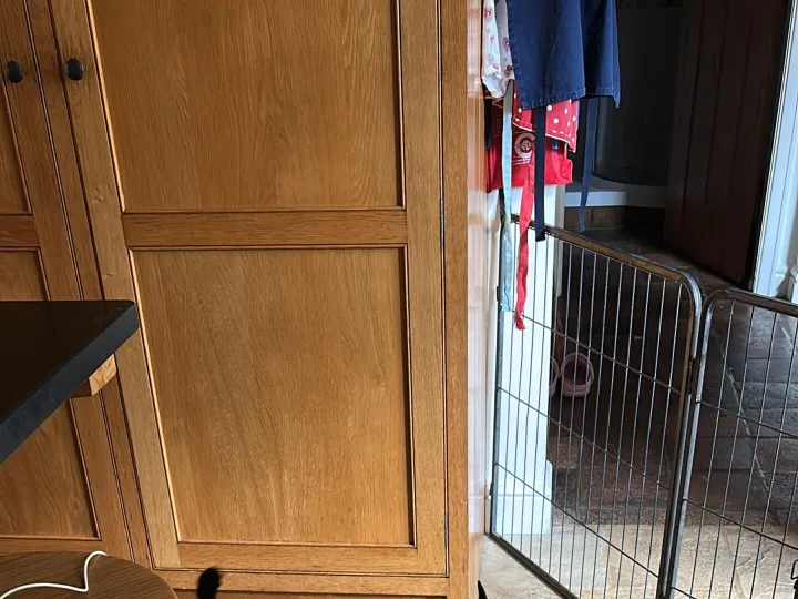 Lost
– Lost Black Patterdale Terrier