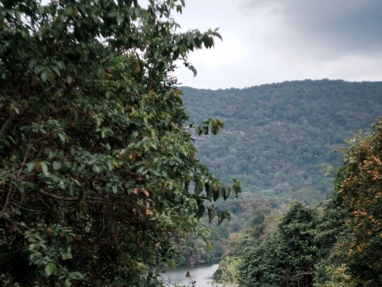 The garden falling away towards Wewela Lake at Peacock Hill Sigiriya
