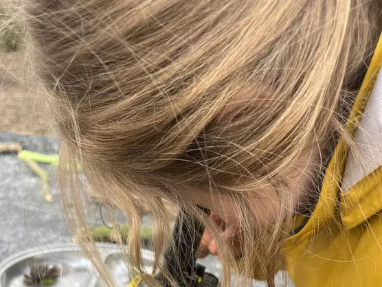 A child in a yellow coat leaning over a microscope outdoors