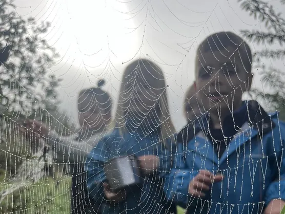 Children foraging seen through a large spider web beaded with dew