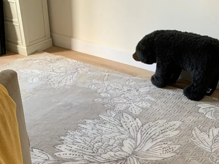 Items for sale
– Wool mix rug £20
