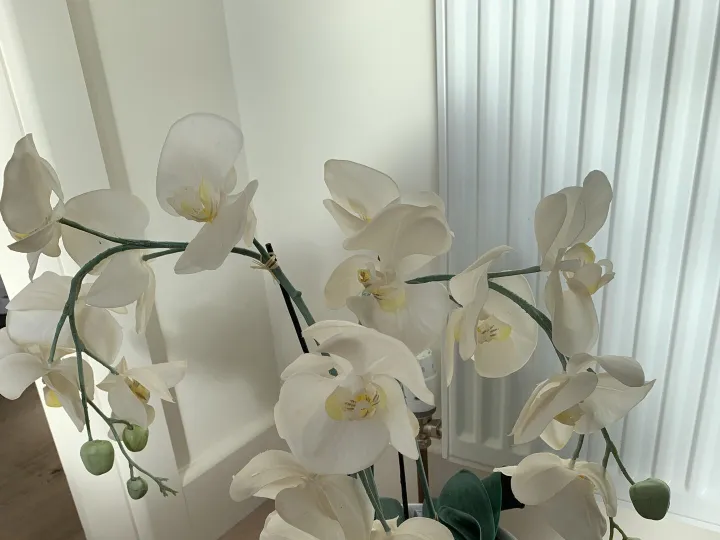 Items for sale
– Artificial orchid £4