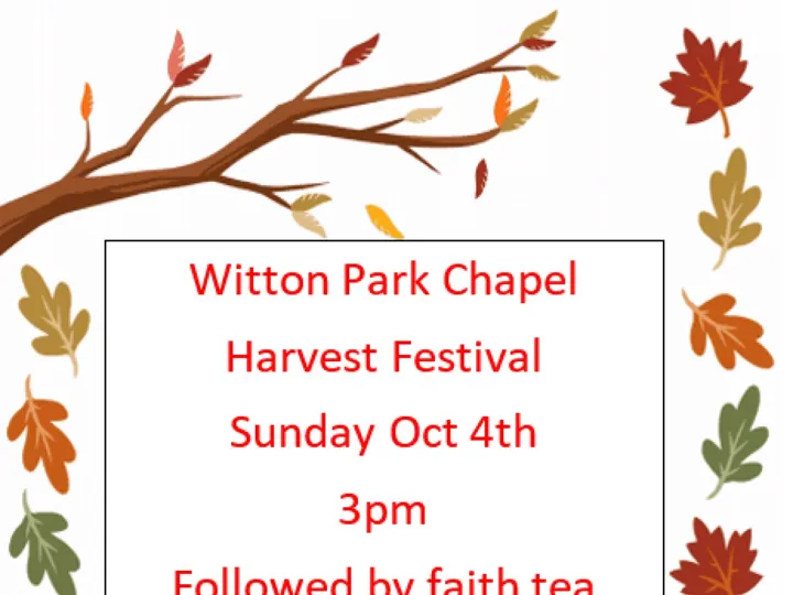 Witton Park Harvest 04
