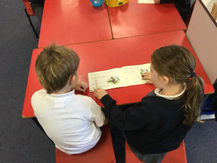 Y1 perfect partner