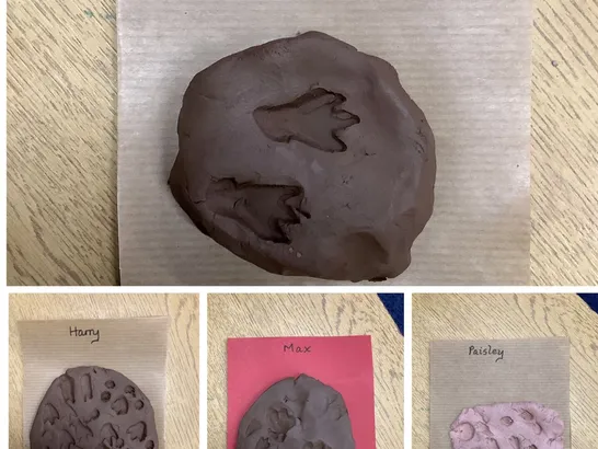 Fossils