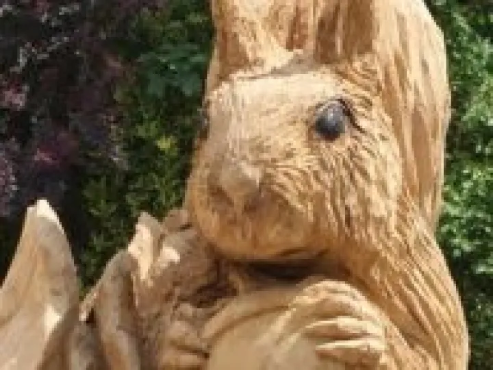 squirrel 1 (2)