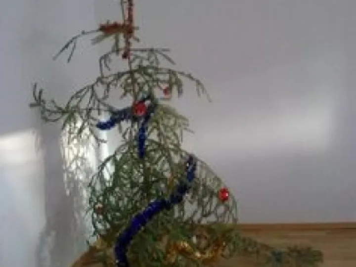 naff tree 1