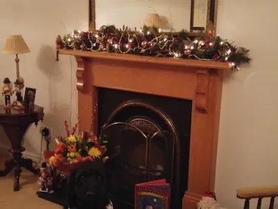 20151221_183340_Burst02