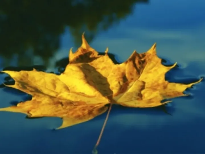 Mindfulness 06