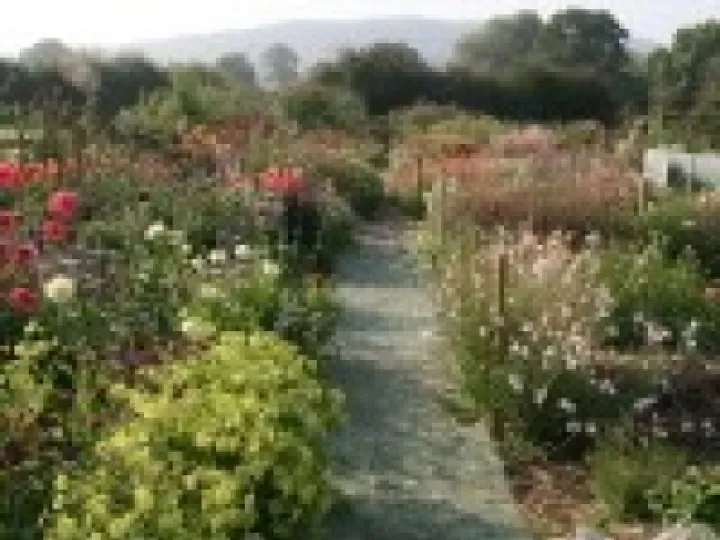 gardening