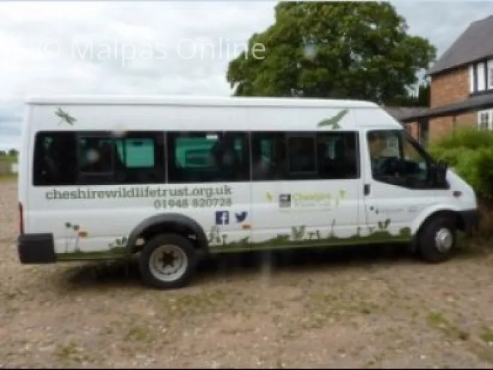 bus
