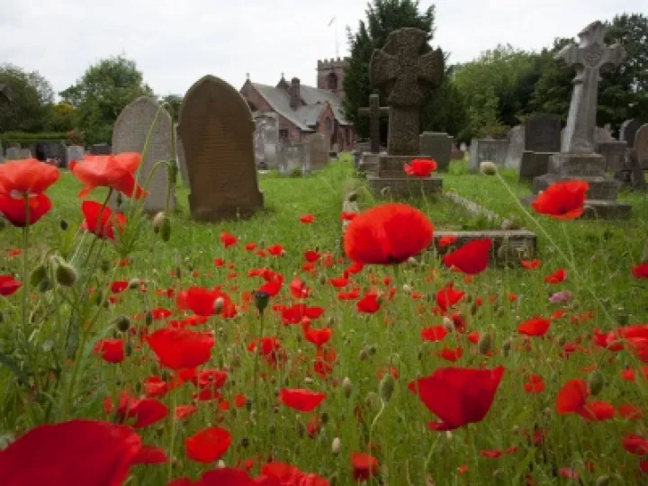 St-Alban-Poppies