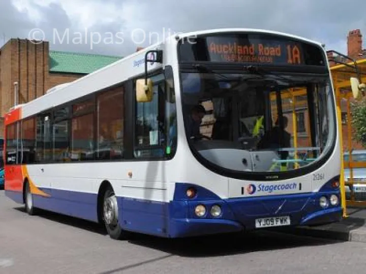 bus
