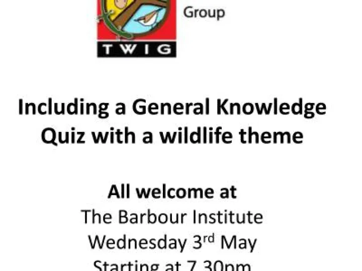 TWiG3rdMay (1)