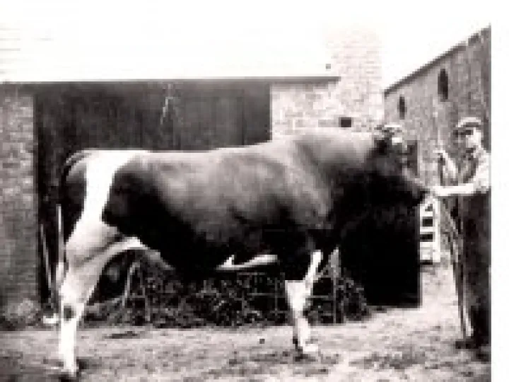 Tarvin People