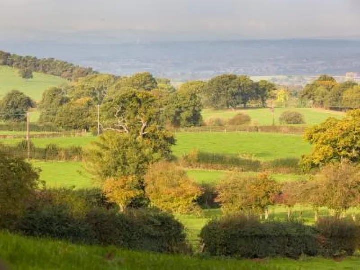 Sandstone Ridge Autumn Landscape 1