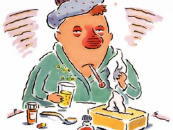 Flu 3