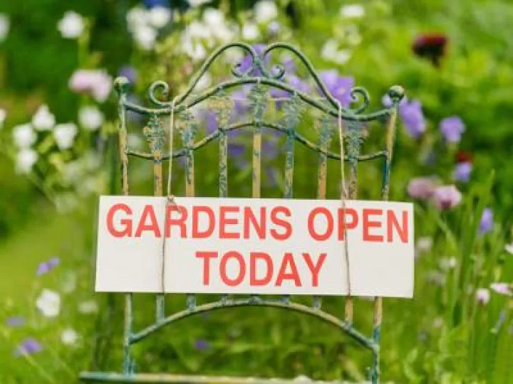Opens Gardens 04