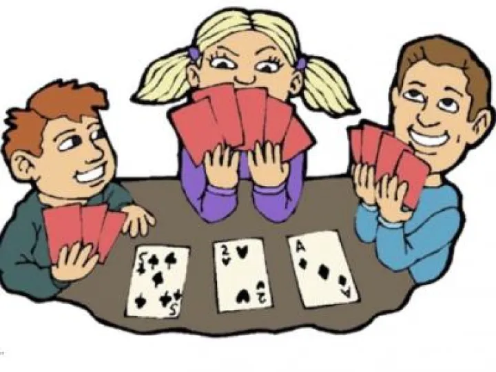 Beginners Bridge