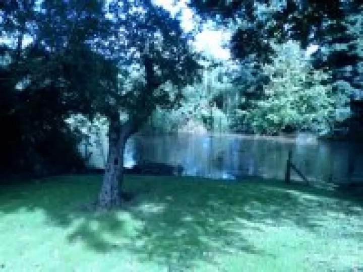 CM Floods 2011