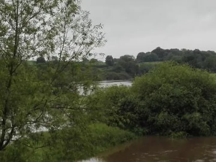 Weaver Bridge