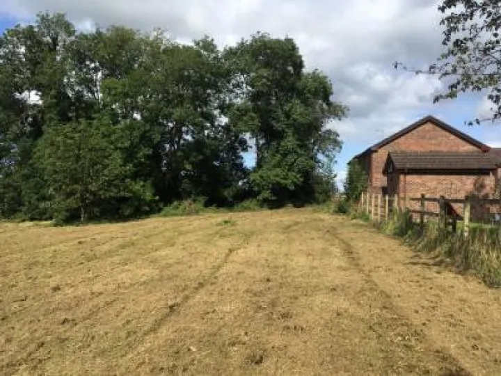 Barn Field Update