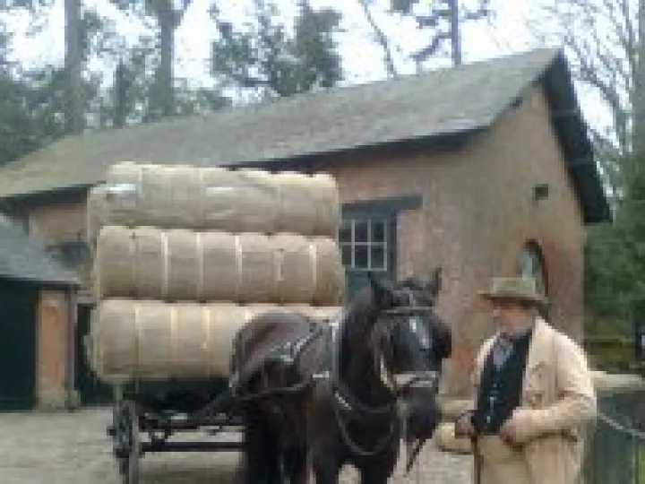 horse cart