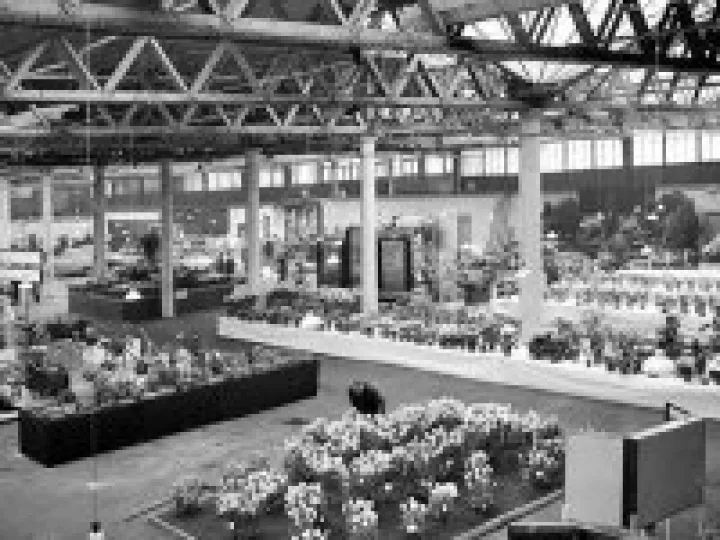 general flower shows