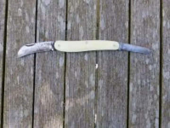 Budding Knife (click on image to enlarge)