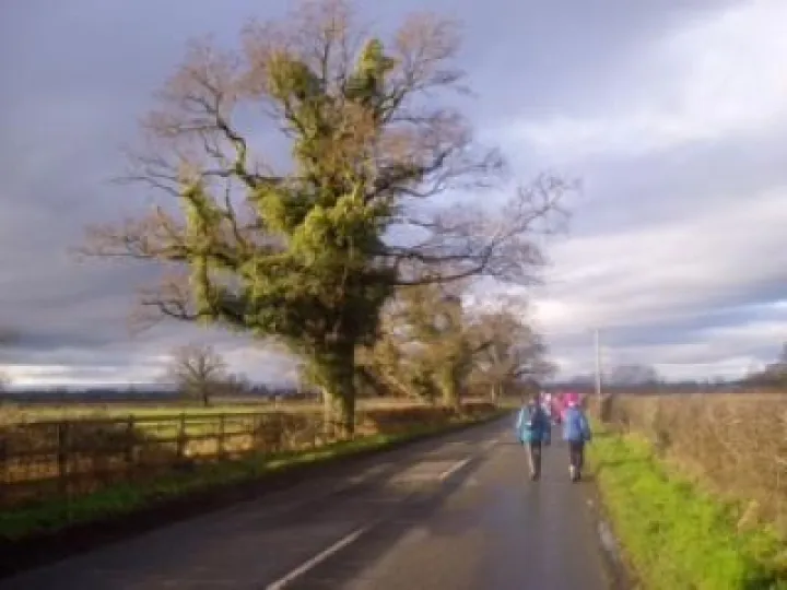 U3A walk 1
