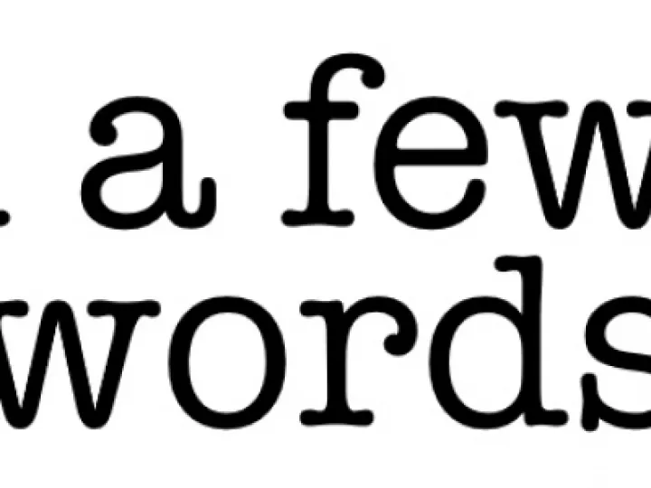 in a few words logo