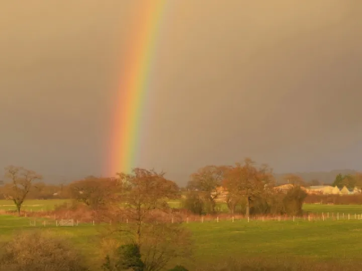 Rainbow_JT0594