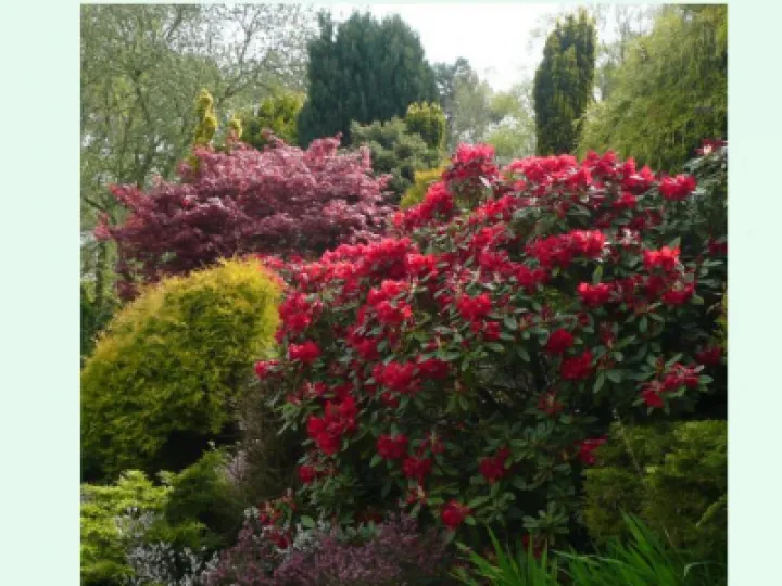 May 2020 Parish News