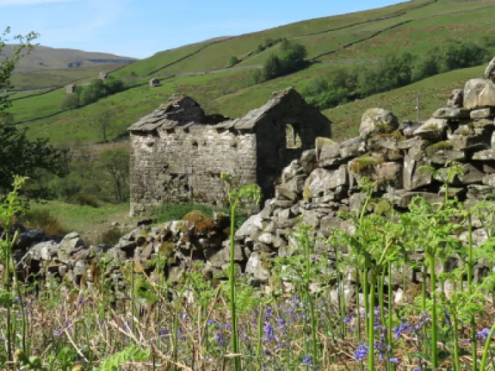 bluebell_barn