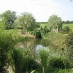 Hankelow Mill garden