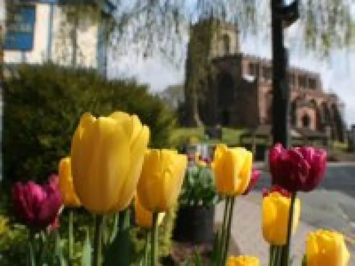 Tulips and St James Church