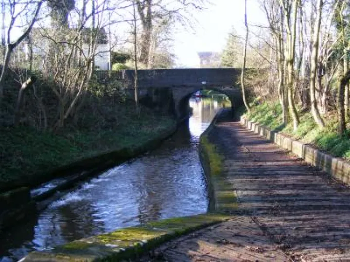 Spring Canal Scenes